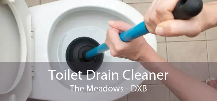 Toilet Drain Cleaner The Meadows - DXB