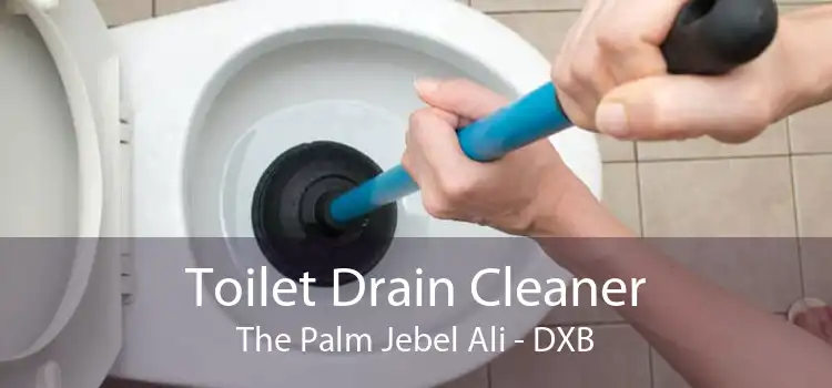 Toilet Drain Cleaner The Palm Jebel Ali - DXB