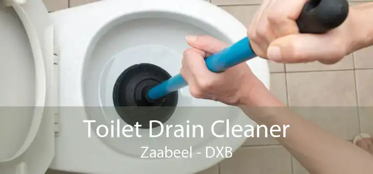 Toilet Drain Cleaner Zaabeel - DXB