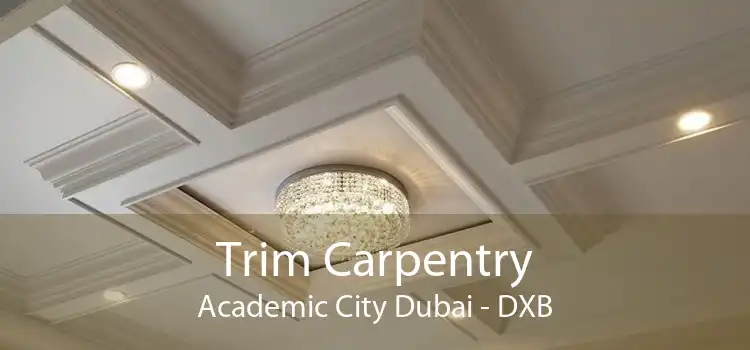 Trim Carpentry Academic City Dubai - DXB