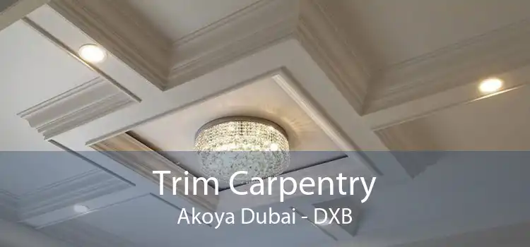 Trim Carpentry Akoya Dubai - DXB