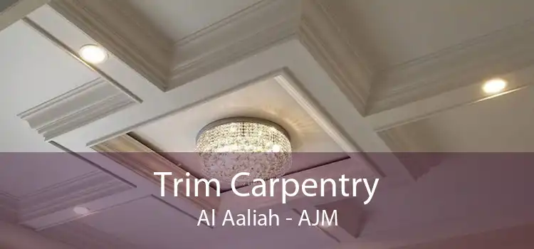 Trim Carpentry Al Aaliah - AJM