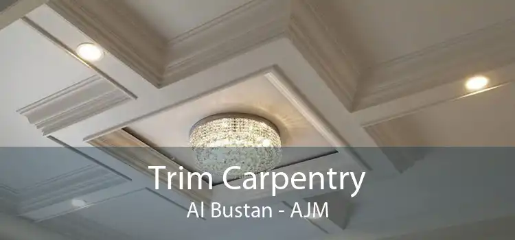 Trim Carpentry Al Bustan - AJM