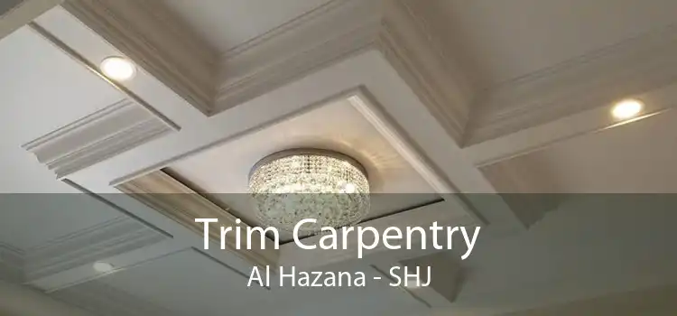 Trim Carpentry Al Hazana - SHJ