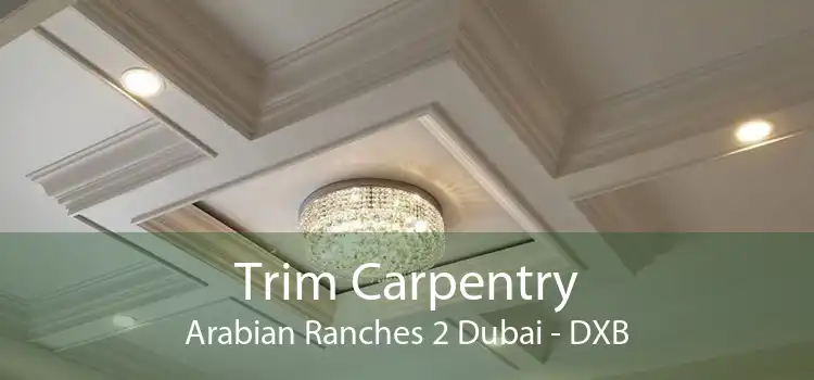 Trim Carpentry Arabian Ranches 2 Dubai - DXB