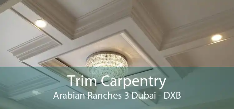 Trim Carpentry Arabian Ranches 3 Dubai - DXB