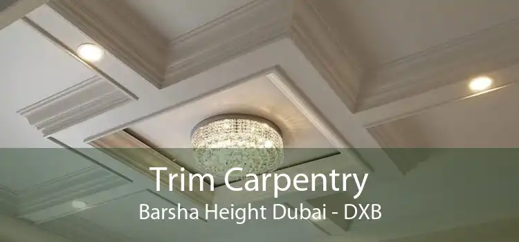 Trim Carpentry Barsha Height Dubai - DXB