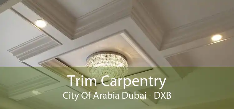 Trim Carpentry City Of Arabia Dubai - DXB