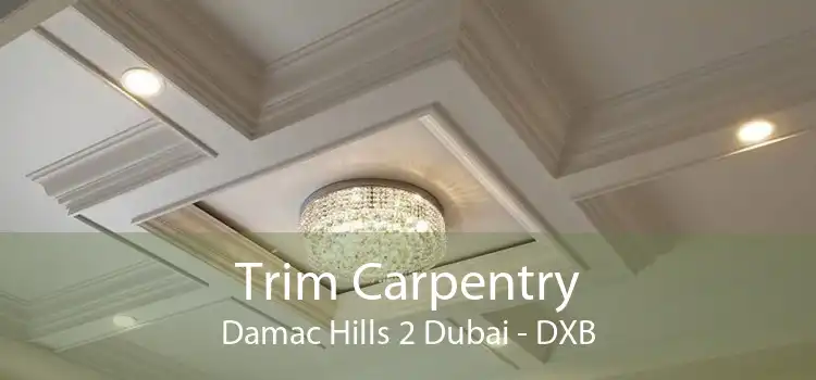 Trim Carpentry Damac Hills 2 Dubai - DXB