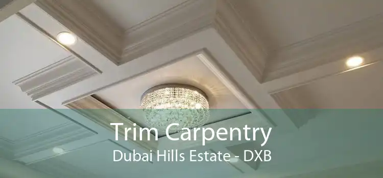 Trim Carpentry Dubai Hills Estate - DXB