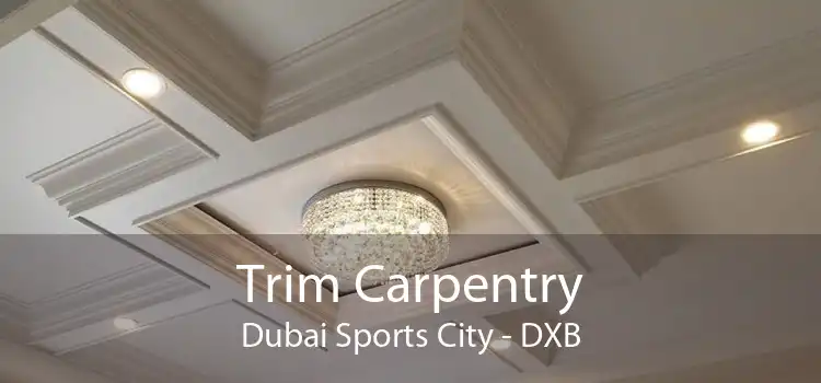 Trim Carpentry Dubai Sports City - DXB