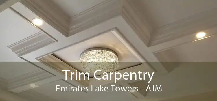 Trim Carpentry Emirates Lake Towers - AJM