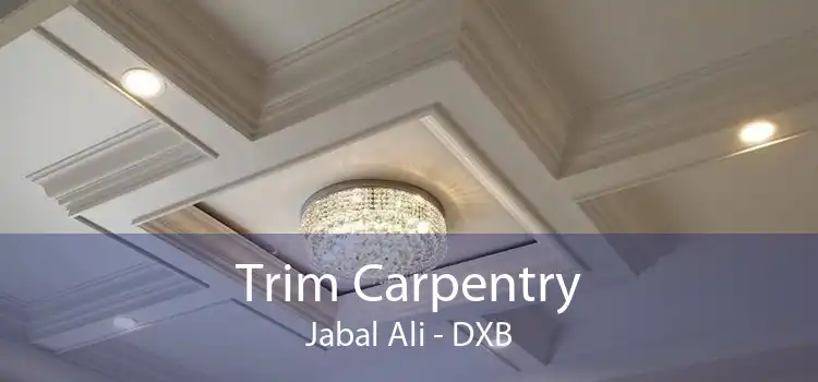 Trim Carpentry Jabal Ali - DXB