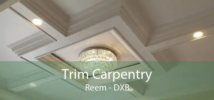 Trim Carpentry Reem - DXB