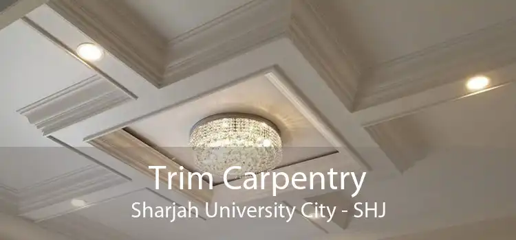 Trim Carpentry Sharjah University City - SHJ