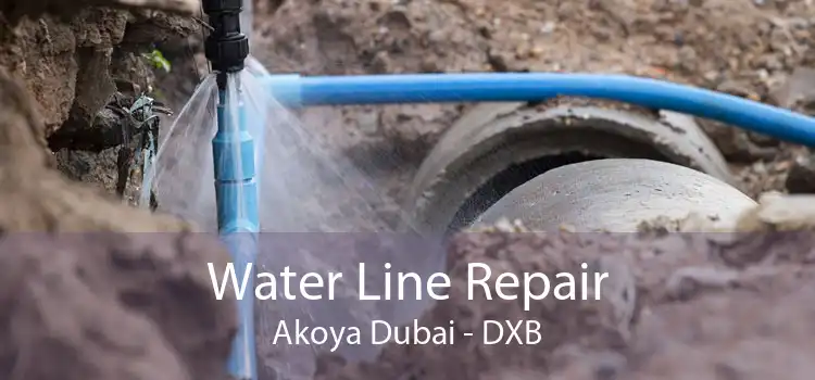 Water Line Repair Akoya Dubai - DXB