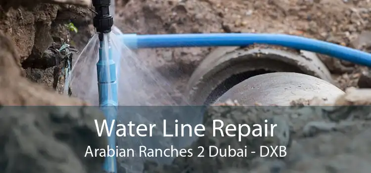 Water Line Repair Arabian Ranches 2 Dubai - DXB