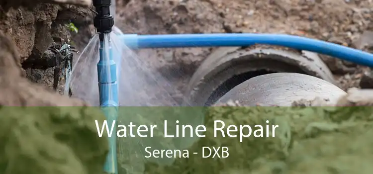 Water Line Repair Serena - DXB